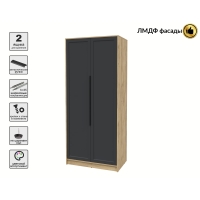 Шкаф распашной Тренд КТ-Ш2 (Дуб золотой ЛДСП/ Пепел ЛМДФ) Ш918 В2128 Г547